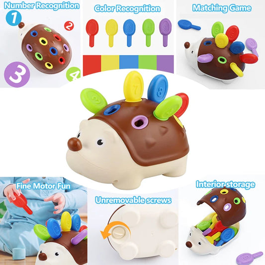 Spike & Learn – Montessori Hedgehog Fine Motor Toy for Curious Toddlers